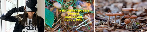 ALPHA PVP Няндома