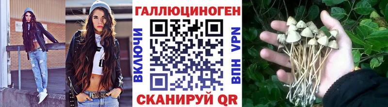 Галлюциногенные грибы мицелий Курильск